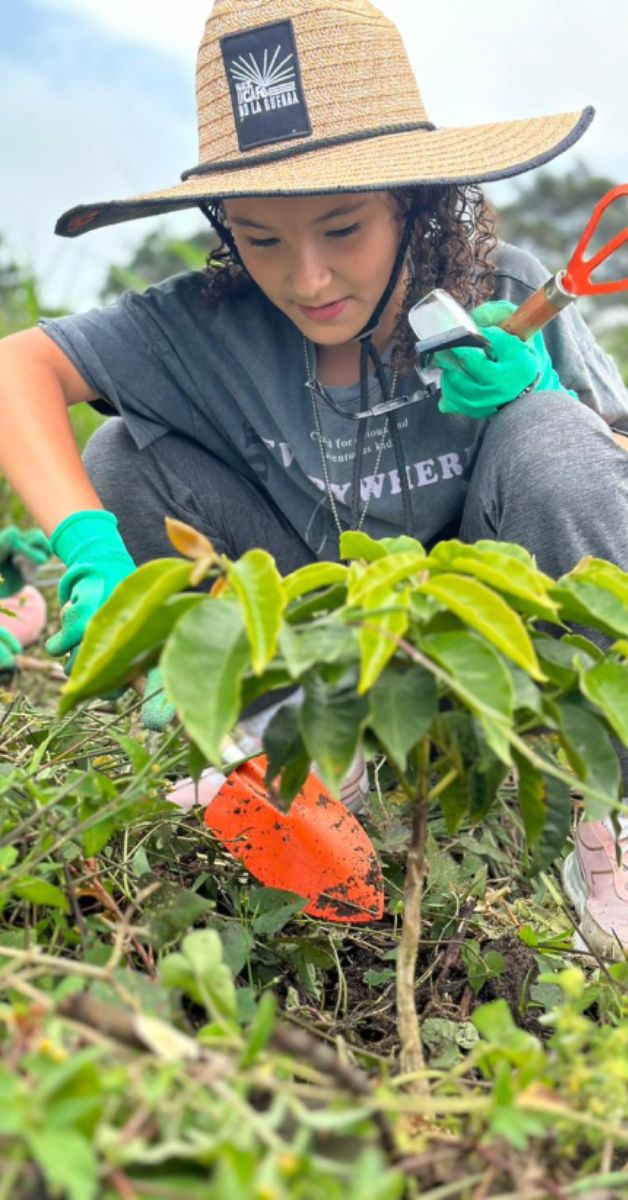 One forest Cultivo - Fundación Juguemos en el bosque
